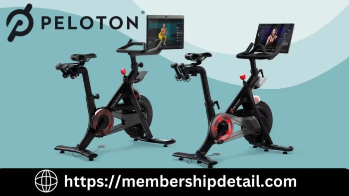 Massage Envy Membership Price 2026 Benefits, Types, Review